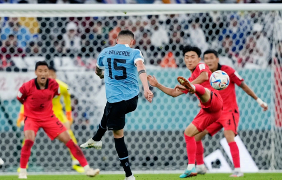Hàn Quốc cùng Uruguay thiết lập kỷ lục 'bắn chim' tại World Cup  ảnh 2