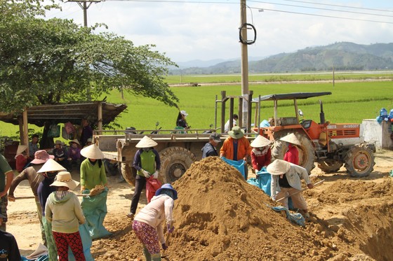 Đắk Lắk: Gồng mình đắp đê cứu hơn 1.000ha lúa ảnh 2