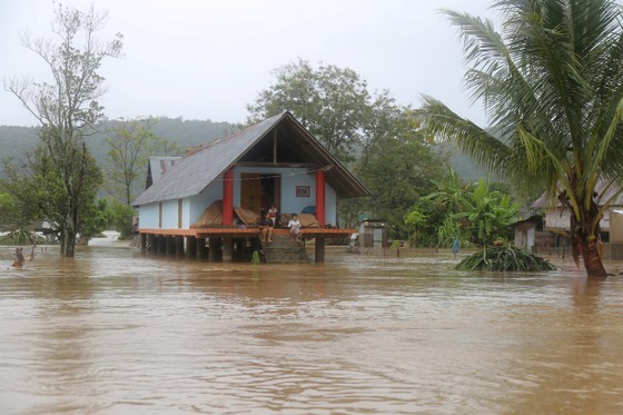 Đắk Lắk: Mưa lớn, hàng trăm nhà dân, hoa màu bị nhấn chìm ảnh 5