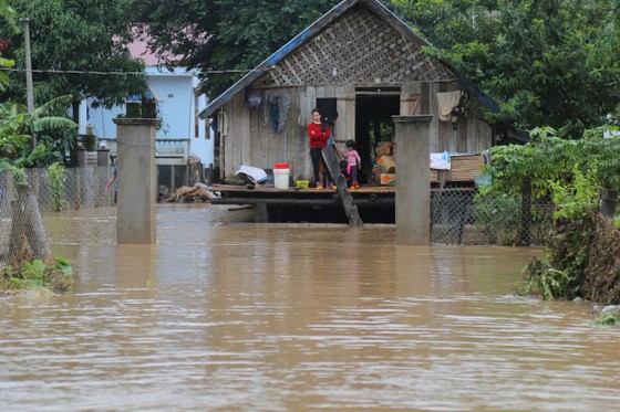Đắk Lắk bị thiệt hại nặng do hoàn lưu bão số 6 ảnh 1