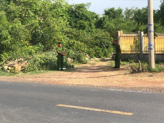 Đắk Lắk: Voi nhà động dục, quật nài voi tử vong ảnh 1