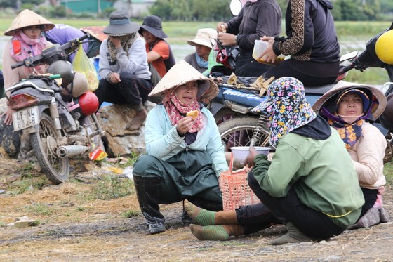 Đắk Lắk: Người dân 'chạy đua' với nước lũ để cứu lúa ảnh 7