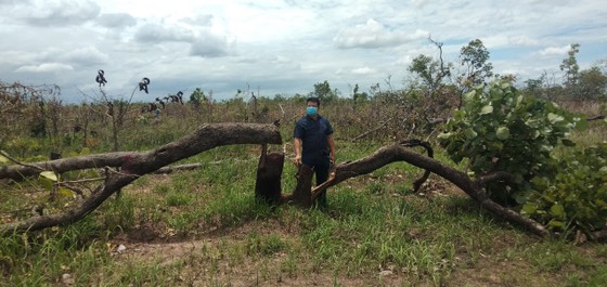 Khởi tố vụ án vụ phá hơn 380ha rừng ở Đắk Lắk ảnh 2
