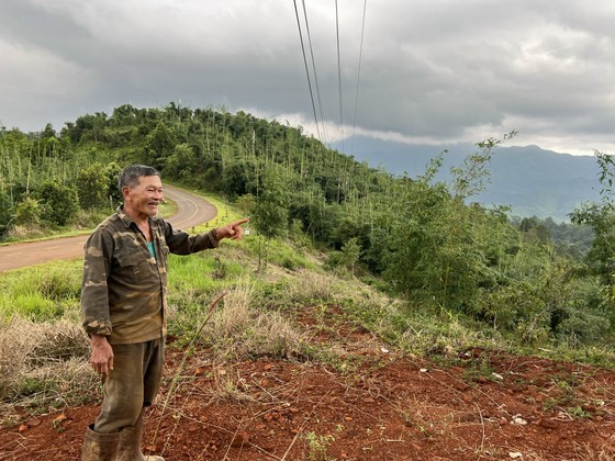 Vụ cấp sai 65 sổ đỏ ở Đắk Nông: Nguyên lãnh đạo huyện hợp thức hóa đất rừng cho vợ làm cây xăng ảnh 1