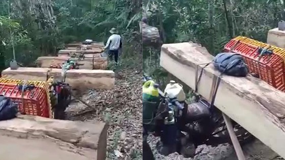 Kon Tum: Bắt nóng 11 đối tượng đang vận chuyển gỗ lậu ảnh 1