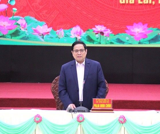 Thủ tướng Phạm Minh Chính: Gia Lai cần phát triển chế biến nông lâm sản gắn với bảo vệ, phát triển rừng ảnh 1