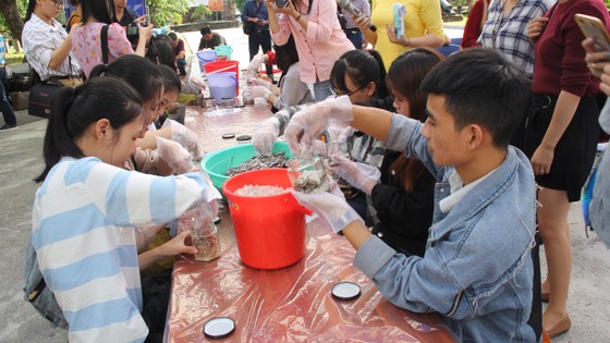 Sinh viên Đà Nẵng giao lưu với nghệ nhân làng nước Mắm Nam Ô ảnh 10