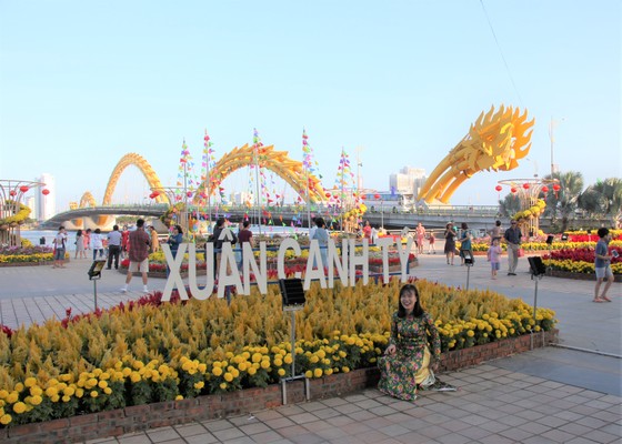 Đà Nẵng ngập tràn sắc xuân với đường hoa Tết ảnh 2