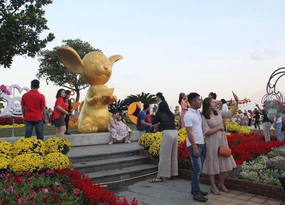 Đà Nẵng ngập tràn sắc xuân với đường hoa Tết ảnh 3