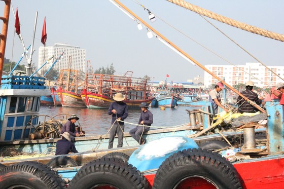 Chi hơn 27 tỷ đồng xóa ô nhiễm tại âu thuyền Thọ Quang, Đà Nẵng ảnh 2