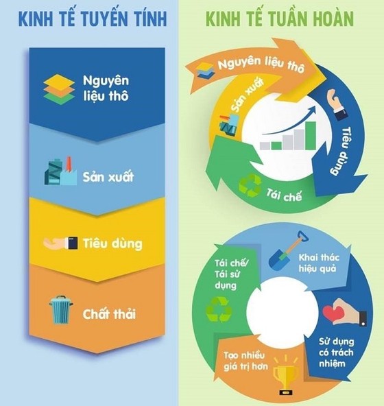Đà Nẵng có mạng lưới kinh tế tuần hoàn hướng đến môi trường xanh ảnh 3