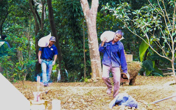 Bảo tồn và phát triển di tích khảo cổ Chăm Phong Lệ ảnh 5