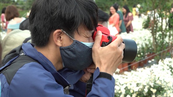 Đà Nẵng: Người dân hào hứng với vườn cúc họa mi trái mùa  ảnh 4