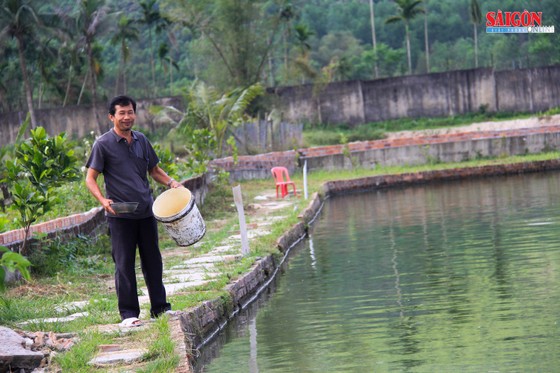 Đà Nẵng: Nông dân làm giàu nhờ nuôi cá phục vụ du lịch sinh thái ảnh 1