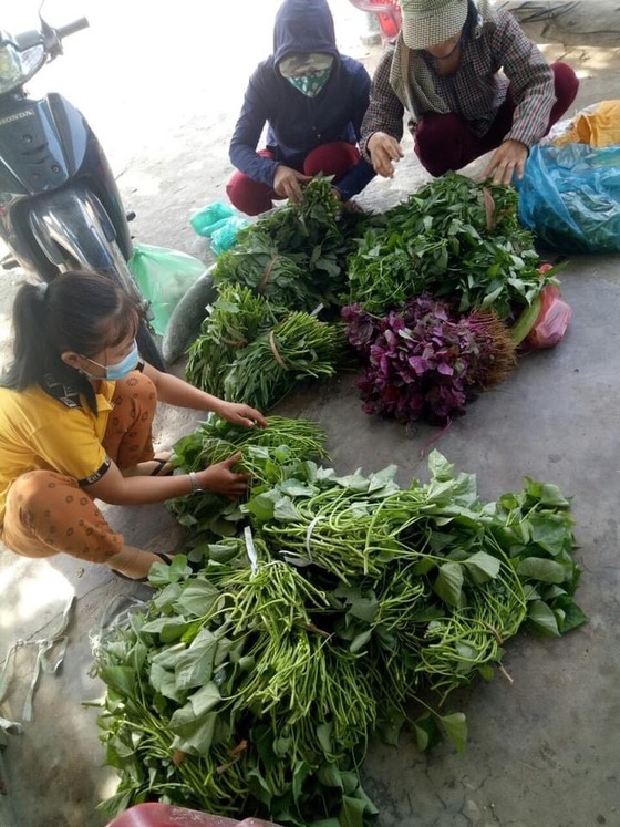 Quảng Nam hỗ trợ cho Đà Nẵng hơn 30 tấn thực phẩm thiết yếu ảnh 8