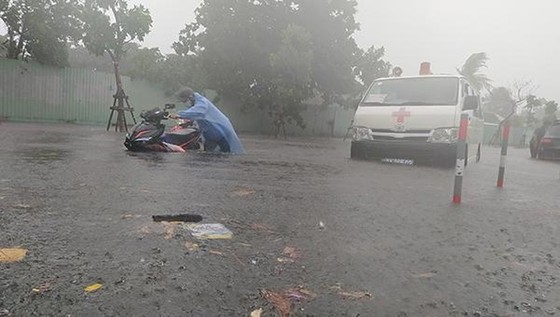  Đà Nẵng: Bão số 5 gây mưa lớn, gió giật và ngập úng nặng ảnh 4