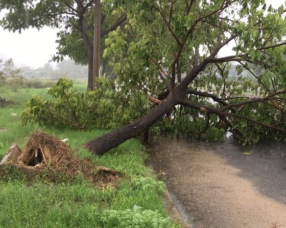  Đà Nẵng: Bão số 5 gây mưa lớn, gió giật và ngập úng nặng ảnh 5