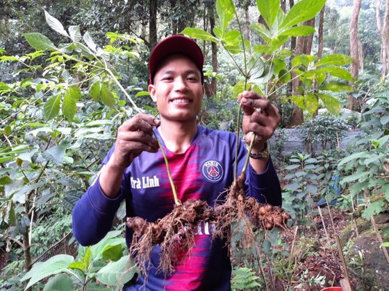Hiệu quả từ các dự án thuận thiên tại vùng Trung Trường Sơn ảnh 1