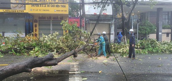 Phó Thủ tướng Lê Văn Thành: Bắt đầu đánh giá thiệt hại và xử lý hậu bão ảnh 7