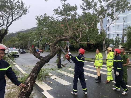 Phó Thủ tướng Lê Văn Thành: Bắt đầu đánh giá thiệt hại và xử lý hậu bão ảnh 6