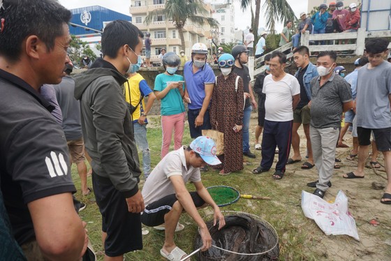 Đà Nẵng: 'Săn' cá sau bão số 4 ảnh 11