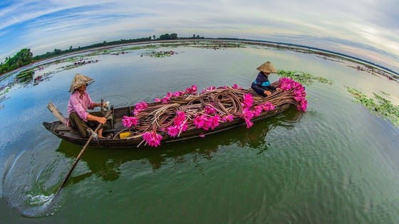 Đến Tây Ninh nhất định phải ghé thăm những địa danh này ảnh 8