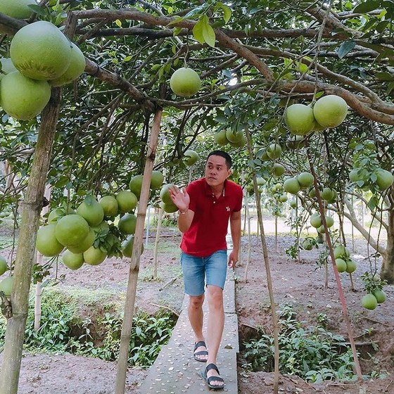 Hấp dẫn du lịch canh nông ở Đồng Nai ảnh 1