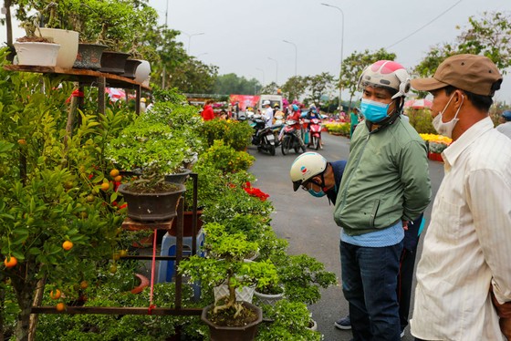 Chợ hoa Xuân Bình Điền 2021: Trăm hoa đua sắc! ảnh 2