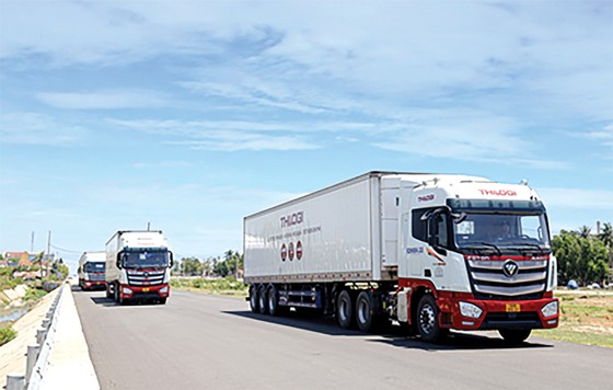 Thilogi phát triển dịch vụ logistics xuất khẩu nông sản với sản lượng lớn ảnh 2