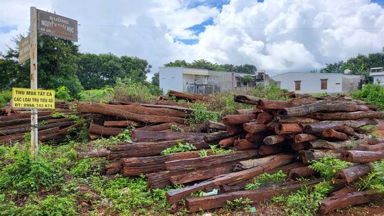 Cánh đồng chưa 'bay' - Bài 1: Manh mún, nhỏ lẻ và tự phát ảnh 2