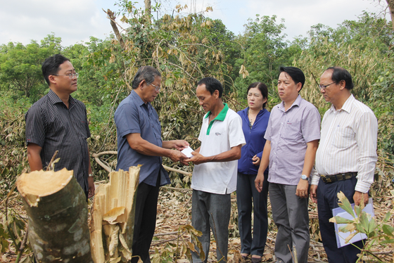 TPHCM hỗ trợ người dân các tỉnh miền Trung bị thiệt hại do bão số 10 ảnh 2
