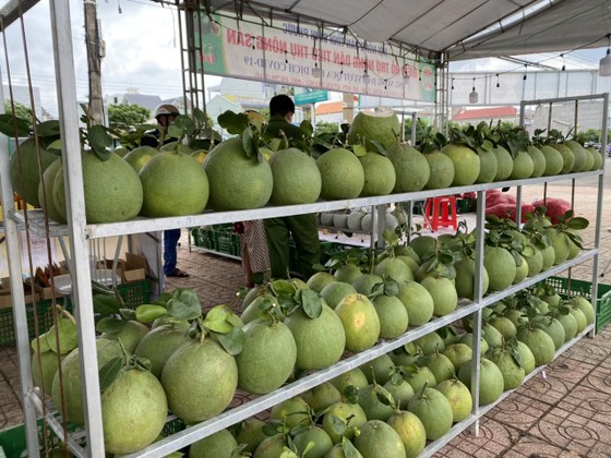 Bình Phước mở nhiều điểm hỗ trợ nông dân tiêu thụ nông sản ảnh 3