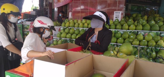 Giá bưởi Tân Triều tăng, hút hàng trên thị trường ảnh 9