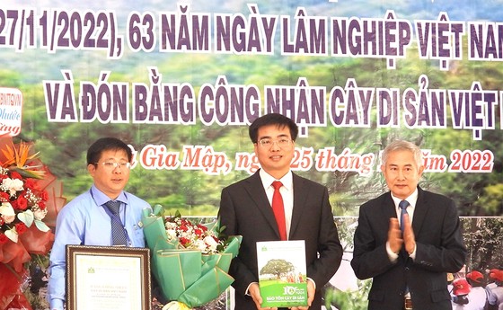 Vườn quốc gia Bù Gia Mập đón bằng công nhận 39 Cây di sản Việt Nam ảnh 1