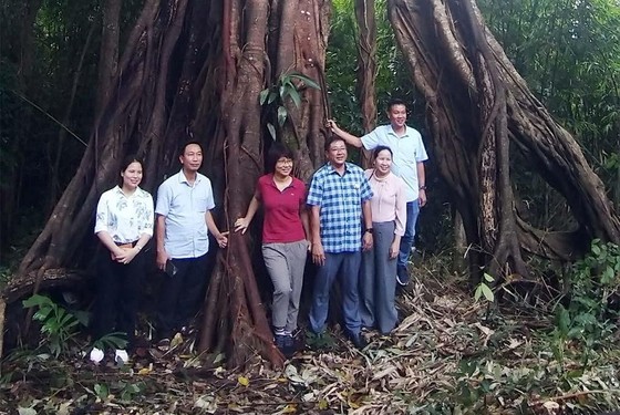 Vườn quốc gia Bù Gia Mập đón bằng công nhận 39 Cây di sản Việt Nam ảnh 2