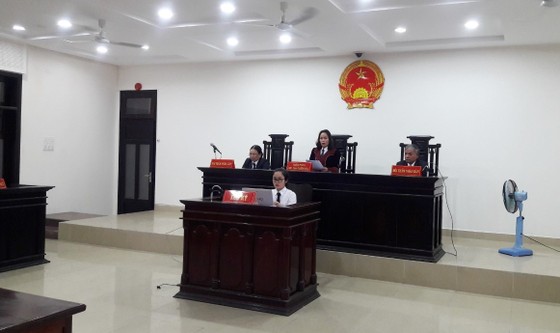 UBND TP Đà Nẵng kháng cáo sau khi bị xử thua kiện doanh nghiệp ảnh 2
