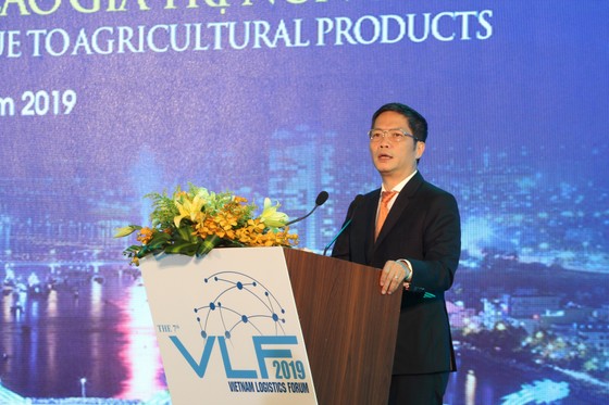 Phó Thủ tướng Vương Đình Huệ: Tạo điều kiện phát triển logistics ảnh 5