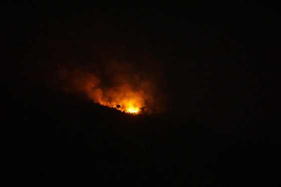 Đà Nẵng: Cháy lớn trên đỉnh núi Sọ  ảnh 1