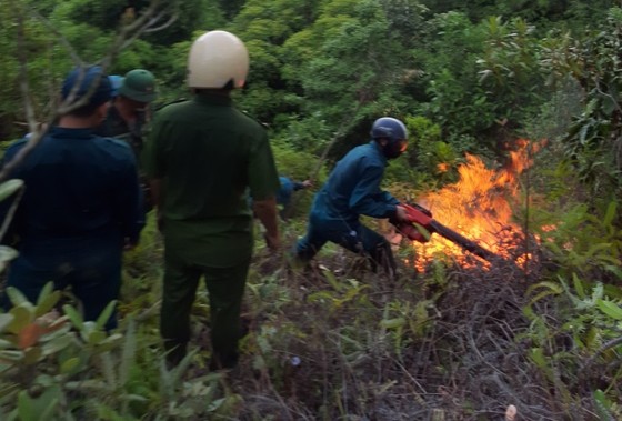 Huy động gần 700 người tham gia dập tắt vụ cháy rừng ở Đà Nẵng ảnh 1