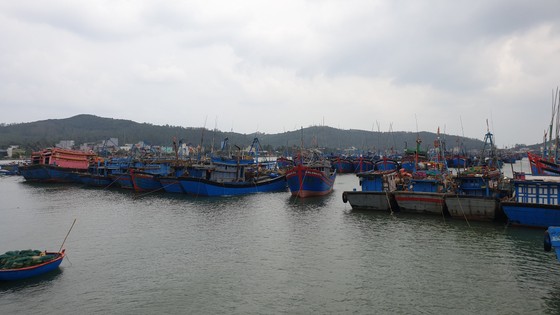 Đà Nẵng nghiêm cấm tàu thuyền ra khơi để phòng tránh bão số 5 ảnh 1