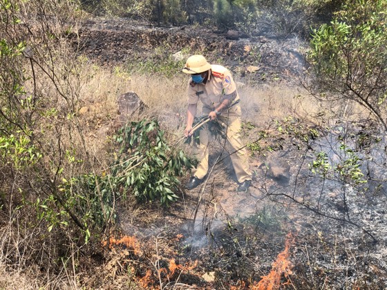 Dập tắt vụ cháy rừng thông ở Quảng Nam ảnh 2