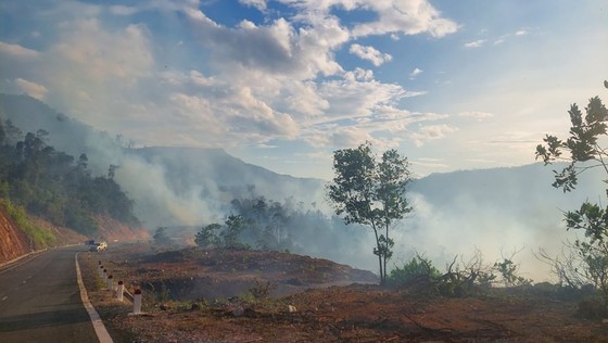 Quảng Nam: Nỗ lực dập tắt vụ cháy rừng tự nhiên tại huyện Nông Sơn ảnh 1
