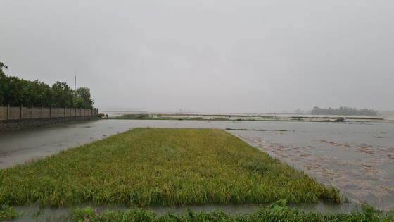 Nhiều nơi tại Quảng Nam bị ngập cục bộ do ảnh hưởng bão số 5 ảnh 4