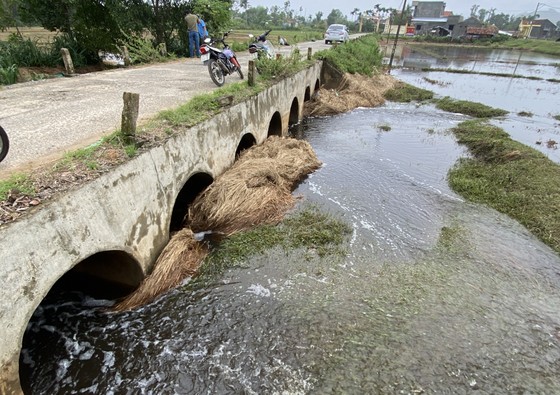 Quảng Nam: Người dân bức xúc vì nước từ bãi rác chảy ra ruộng đồng gây hôi thối  ảnh 4