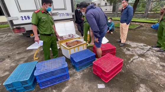 Quảng Nam bắt 2 vụ vận chuyển trái phép pháo lậu và động vật hoang dã ảnh 1