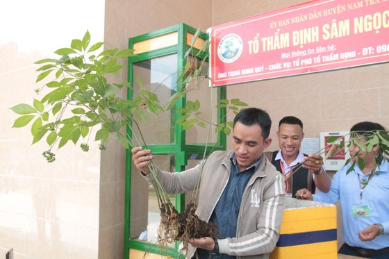 Chủ tịch nước Nguyễn Xuân Phúc: Phát triển cây sâm Ngọc Linh thành cây 'quốc kế dân sinh' ảnh 2