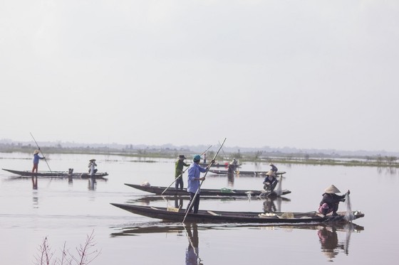 Mưu sinh vùng càng mùa nước nổi ảnh 2
