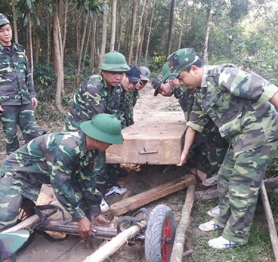 Phát hiện, thu giữ nhiều khối gỗ lậu được cất giấu trong rừng sâu ở Quảng Trị ảnh 1
