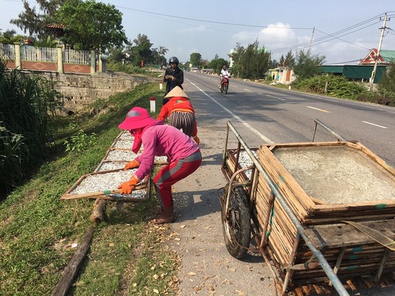 Ngư dân Quảng Trị được mùa cá cơm sau Tết Nguyên đán ảnh 8