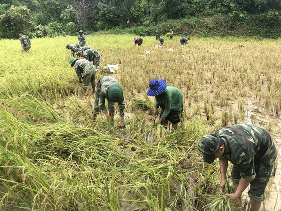 Quảng Trị: Nỗ lực hỗ trợ người dân khắc phục hậu quả bão số 5 ảnh 7